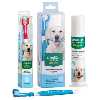 Kit Dental Cepillo + Pasta Stangest