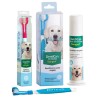 Kit Dental Cepillo + Pasta Stangest