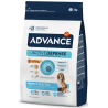 Advance Mother Dog & Initial