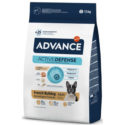 Advance French Bulldog