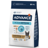Advance French Bulldog