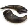 Cuerno de Búfalo Arquivet - 2