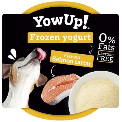 Yow Up Helado Yogurt Tartar Salmón