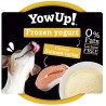 Yow Up Helado Yogurt Tartar Salmón