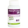 Gastroprotect Perro y Gato Stangest