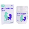 Procanicare Plus Problemas Intestinales Ecuphar