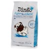 Dingo Dog Puppy & Junior