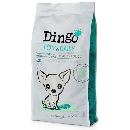 Dingo Dog Toy & Daily