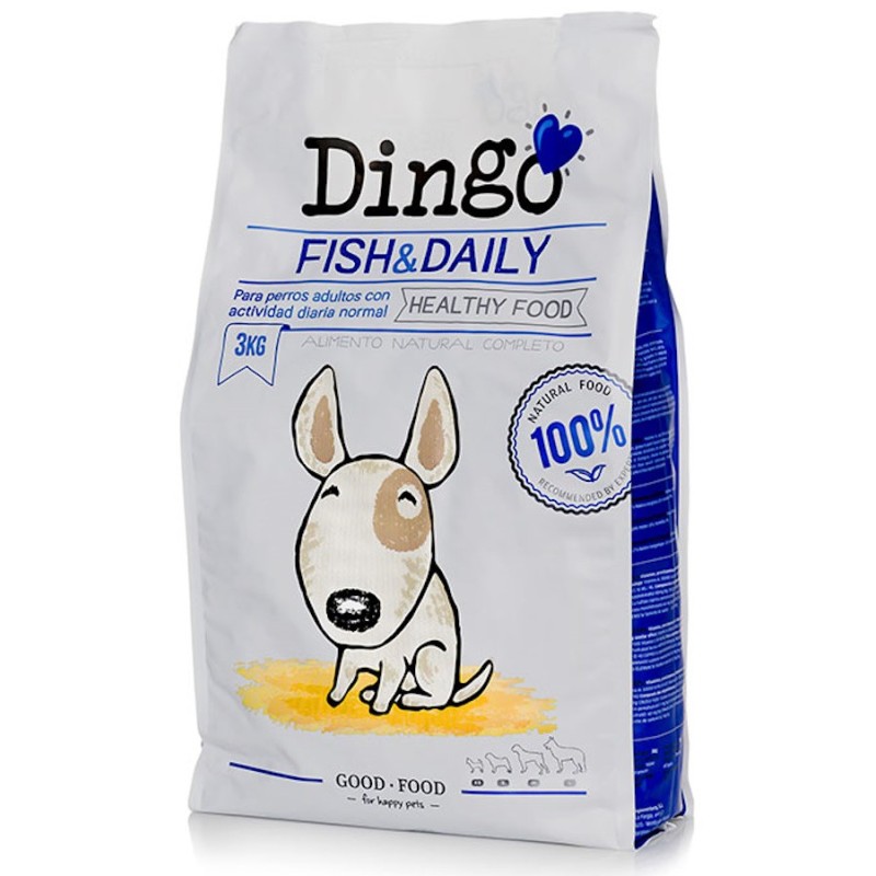 Dingo Dog Fish & Daily