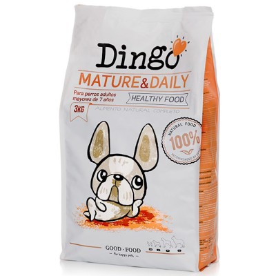Dingo Dog Mature & Daily