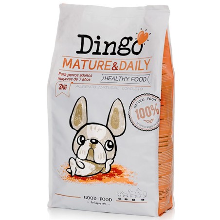Dingo Dog Mature & Daily