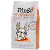 Dingo Dog Mature & Daily