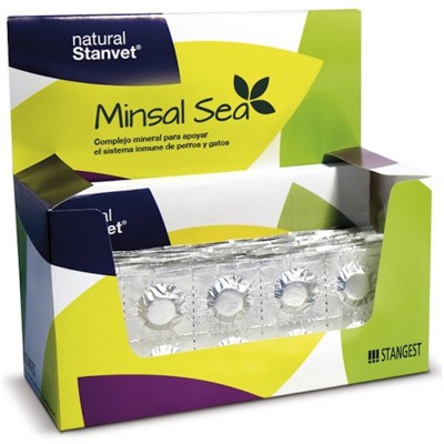 Minsal Sea Apoyo Sistema Inmune Perros y Gatos Stangest - 2