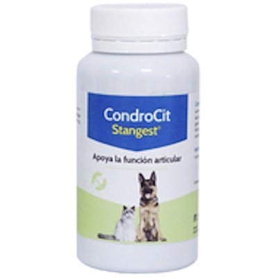 Condrocit Condroprotector Perro y Gato Stanvet