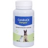 Condrocit Condroprotector Perro y Gato Stanvet