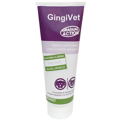 Gingivet Pasta Apoyo Dental Stangest
