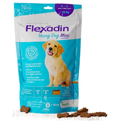 Flexadin Soft Chews Maxi Puppy Vetoquinol