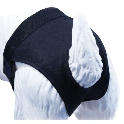 Slip Braguitas Celo Perro Gloria Pets - 2