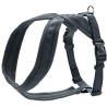 Hunter Arnés para Perros London Comfort Negro - 5