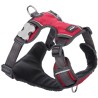 Petral Perros Red Dingo Acolchado Rojo