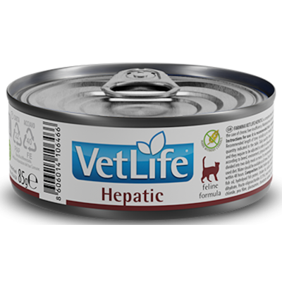 Lata Farmina Vet Life Cat Hepatic
