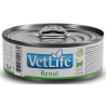 Lata Farmina Vet Life Cat Renal