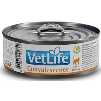 Lata Farmina Vet Life Cat Convalescence