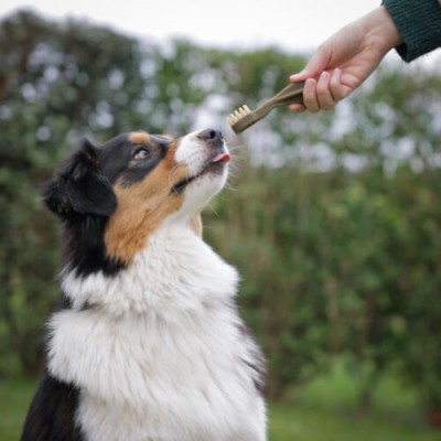 Whimzees Toothbrush Snack Dental Perros - 2