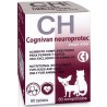 Cognivan Neuroprotect Ayuda Función Cerebral Razas Mini y Gatos
