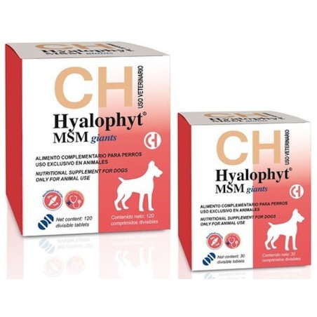 Hyalophyt MSM Giants Chemical Ibérica