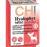 Hyalophyt MSM Razas Mini Chemical iberica