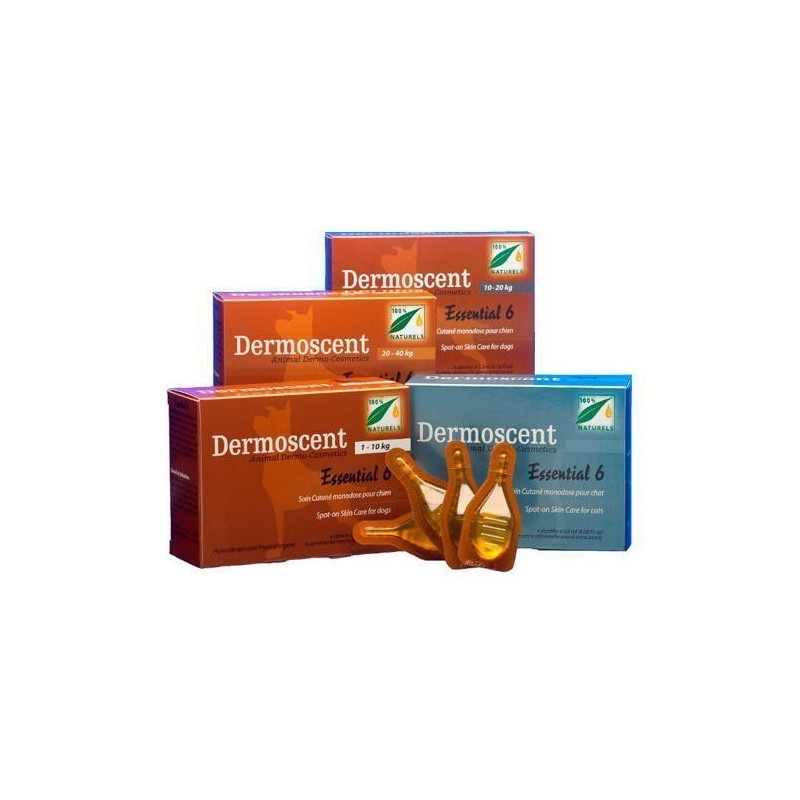 Dermoscent essential 6 Spot on gatos, 4 pipetas